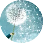 © Catrin Welz-Stein