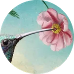 © Catrin Welz-Stein